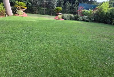 5 Bed House with En Suite in Karen