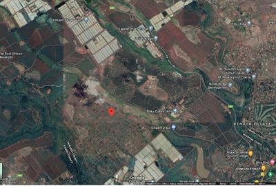 10,500 ft² Residential Land at Karangaita Farm Estate Thika