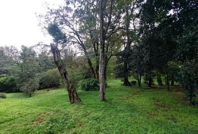 Land at Lavington