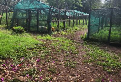 Commercial Property with Service Charge Included at Bomas - 4