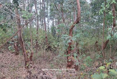 Residential Land at Kerarapon Drive - 3