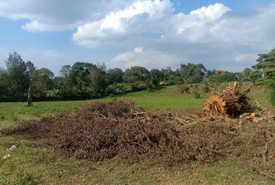 500 m² Residential Land at Thogoto Teachers College Neighborhood - 3