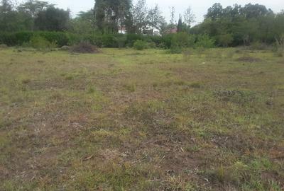 0.5 ac Residential Land in Karen