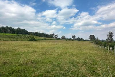 Residential Land in Tigoni - 2