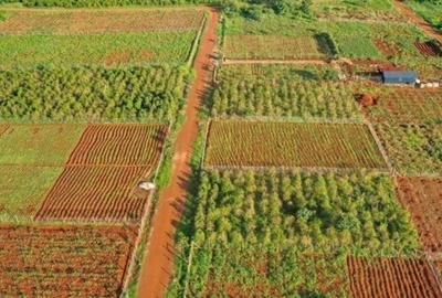 500 m² Residential Land at Oaklands Estate - 2