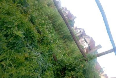 1.25 ac Land in Lavington - 4