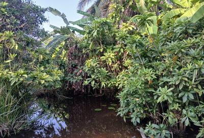 32 ac Land in Diani - 2