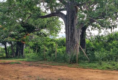 6 ac Land at Kilifi - 2