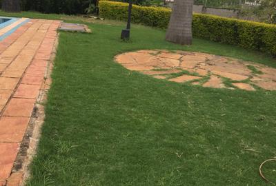 Furnished 2 Bed Apartment with En Suite in Rosslyn - 4