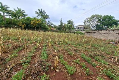 Residential Land in Runda - 4