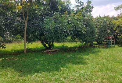 Land at Tree Ln