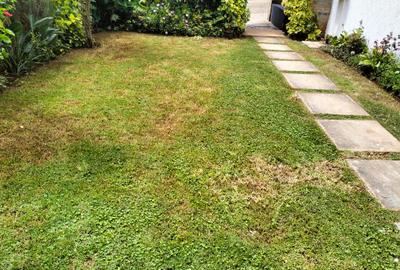 5 Bed Townhouse with En Suite in Lavington