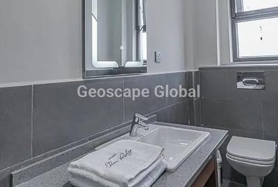 Furnished 2 Bed Apartment with En Suite in Spring Valley - 4