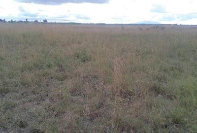 0.125 ac Land in Joska