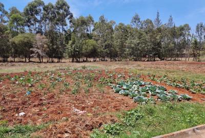 Residential Land in Ridgeways