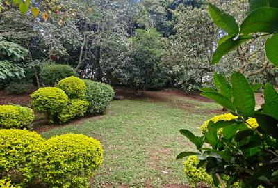 4 Bed House with En Suite in Karen - 4
