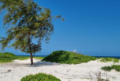 50 ac Land at Kilifi - 3