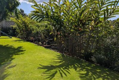Serviced 2 Bed Apartment with En Suite at Old Kitisuru