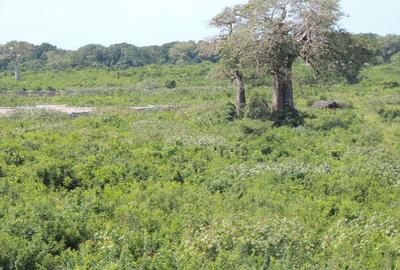 1,012 m² Residential Land at Diani Beach Road