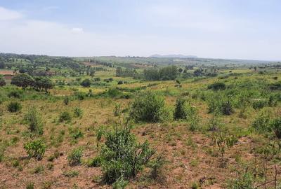 Land at Ngoliba