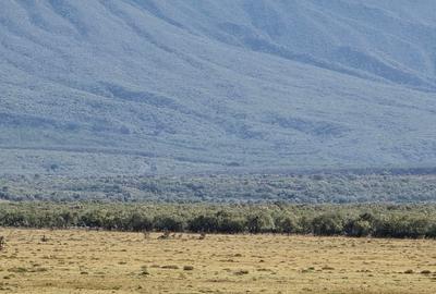 1 ac Land in Naivasha