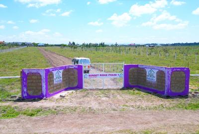 Residential Land in Naivasha