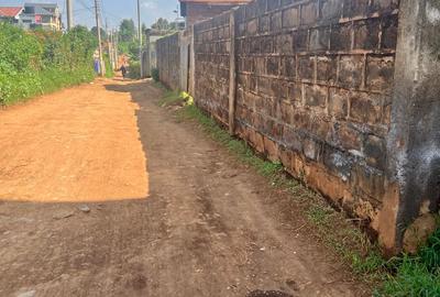 Land at Ndenderu Town - 3