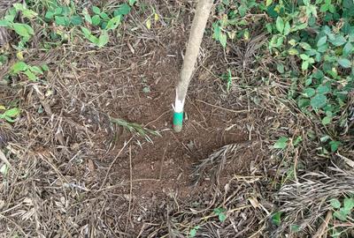 500 m² Residential Land at Kwa-Ngando Area - 3