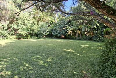 5 Bed Townhouse with En Suite in Spring Valley - 4