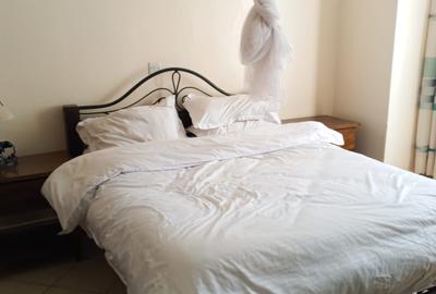 2 Bed Apartment with En Suite in Rosslyn - 2