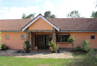 Commercial Property with Fibre Internet in Hurlingham