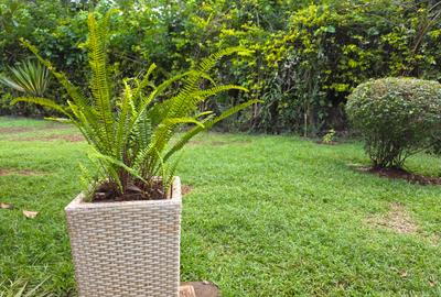 Commercial Property with Service Charge Included in Kilimani - 3