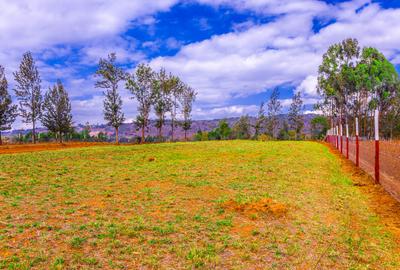 0.4 ac Land at Thigio - 4
