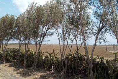 3 ac Land in Naivasha - 2