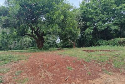 Residential Land at Paradise Lost/Mhasibu - 2