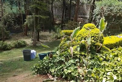 0.75 ac Land in Lavington - 4