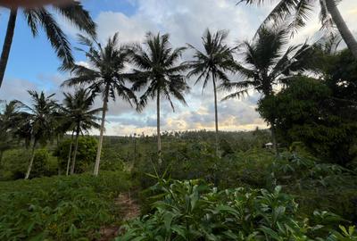 0.75 ac Land at Ls139 - 2