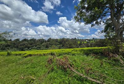 10 ac Residential Land in Tigoni - 4