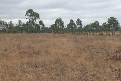 Residential Land at Rangau