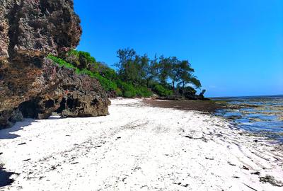 167.5 ac Land at Kuruwitu Beach