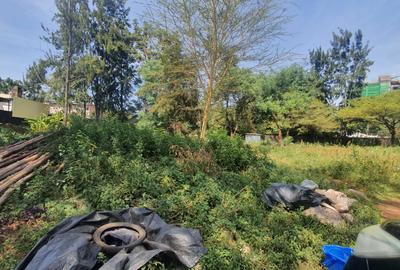 Commercial Property in General Mathenge - 2