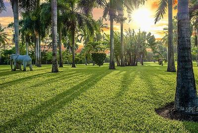 10 Bed Townhouse with En Suite at Mt Kenya - 4