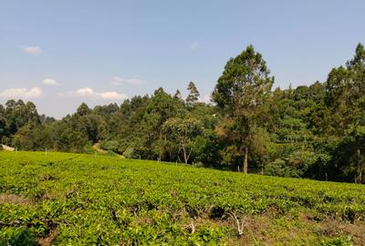 0.75 ac Land at Riara Ridge Area - 2