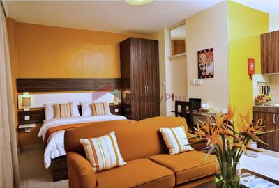 Furnished Bedsitter at Maai Mahiu Road - 3