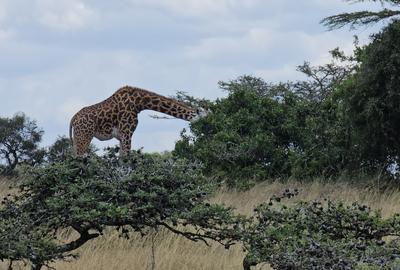 5,000 ac Land at Mombasa Road