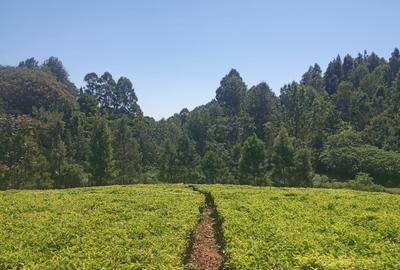 0.5 ac Residential Land in Tigoni - 2