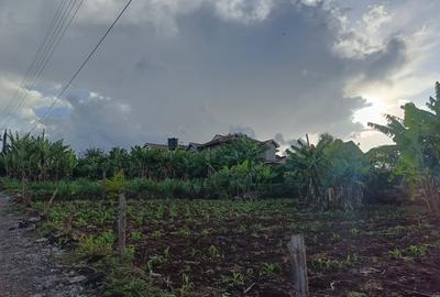 Residential Land at Ruaka