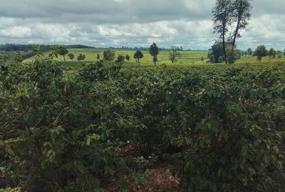 Land in Tigoni
