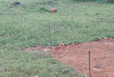 0.25 ac Residential Land at Diani Beach Road - 3