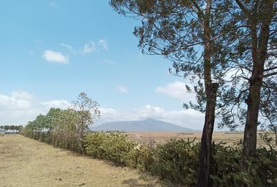 6 ac Land in Naivasha - 4